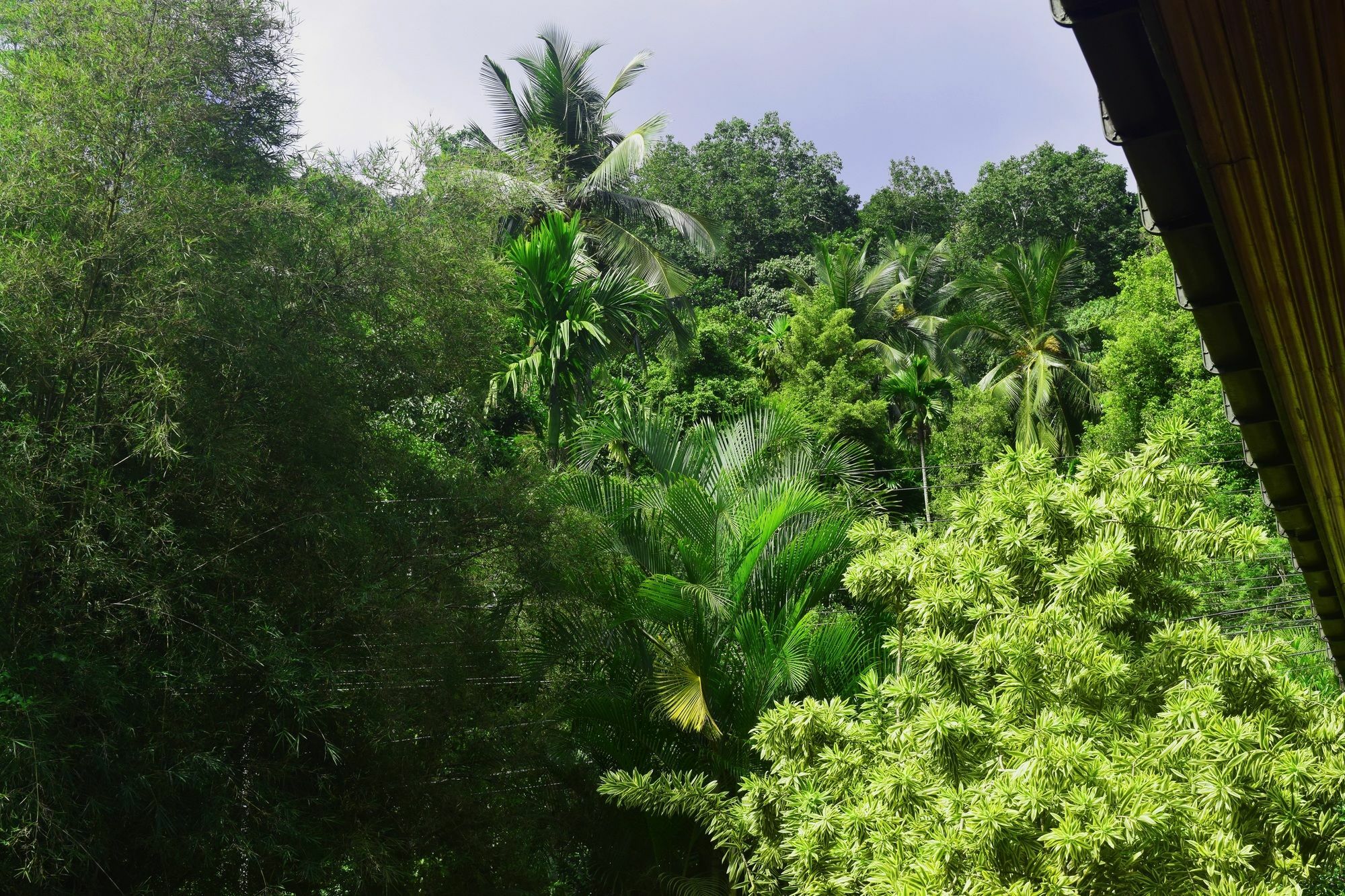 Hotel Avaana By Springhills Kandy Esterno foto