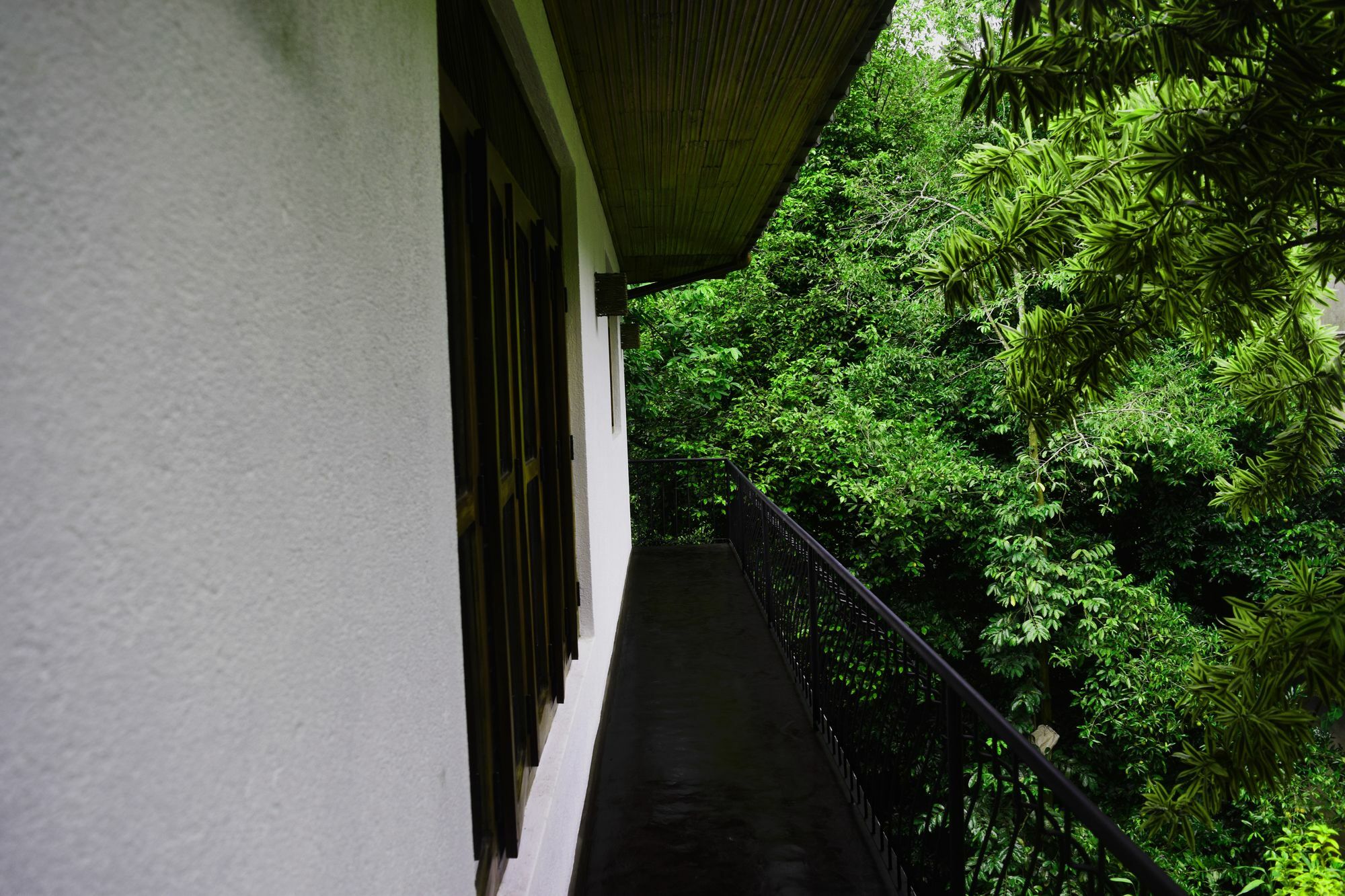 Hotel Avaana By Springhills Kandy Esterno foto