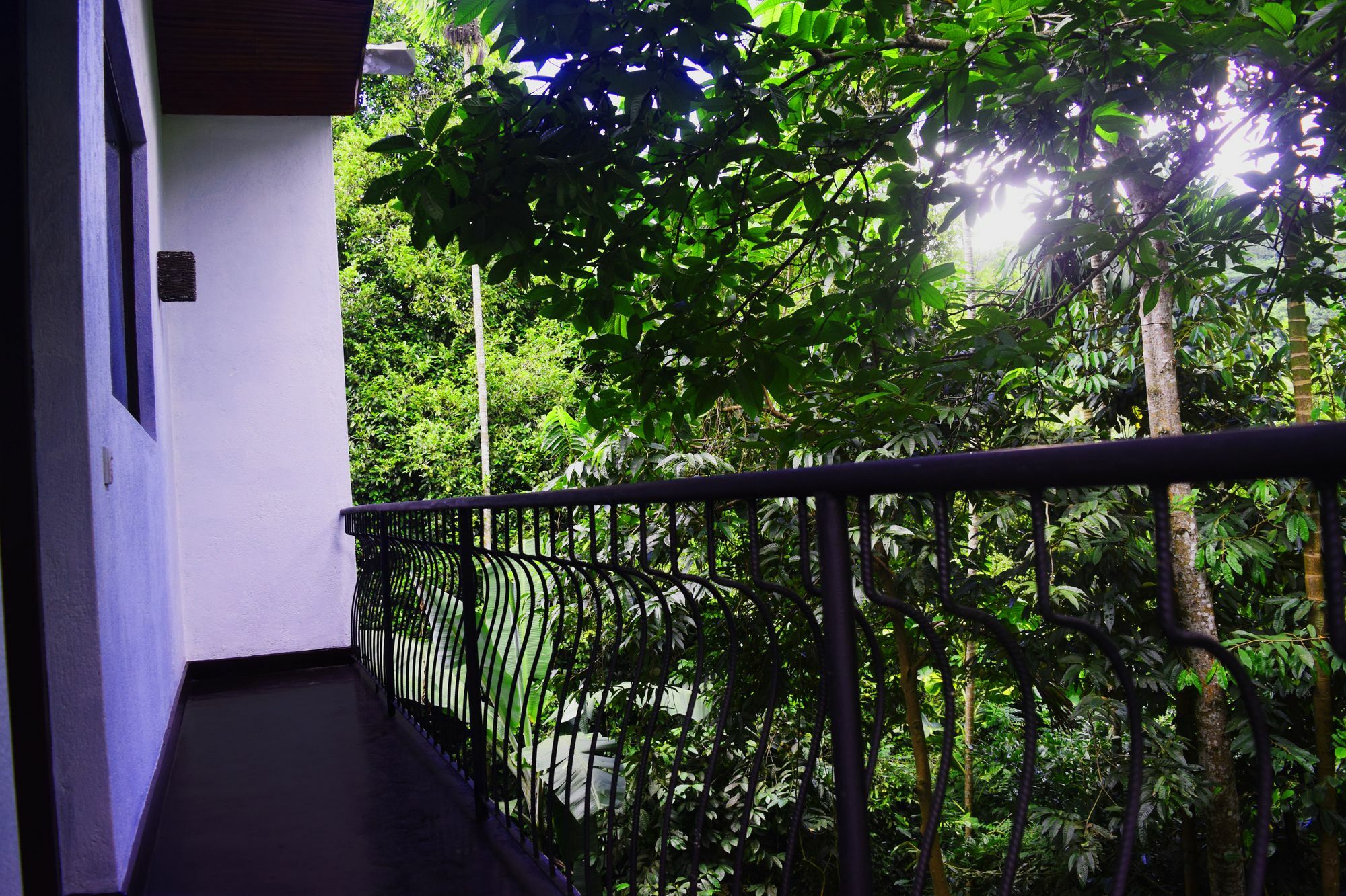 Hotel Avaana By Springhills Kandy Esterno foto