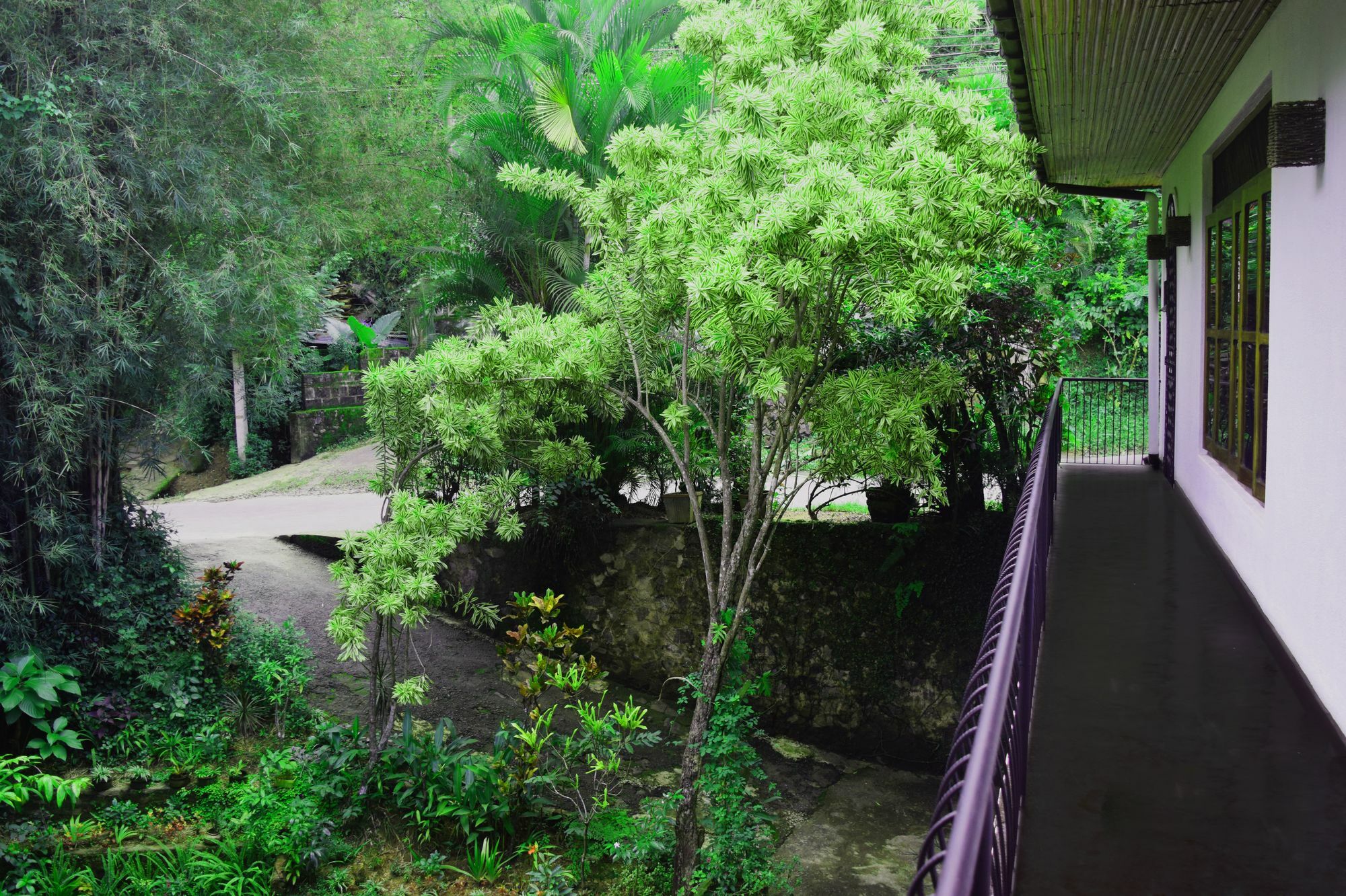 Hotel Avaana By Springhills Kandy Esterno foto