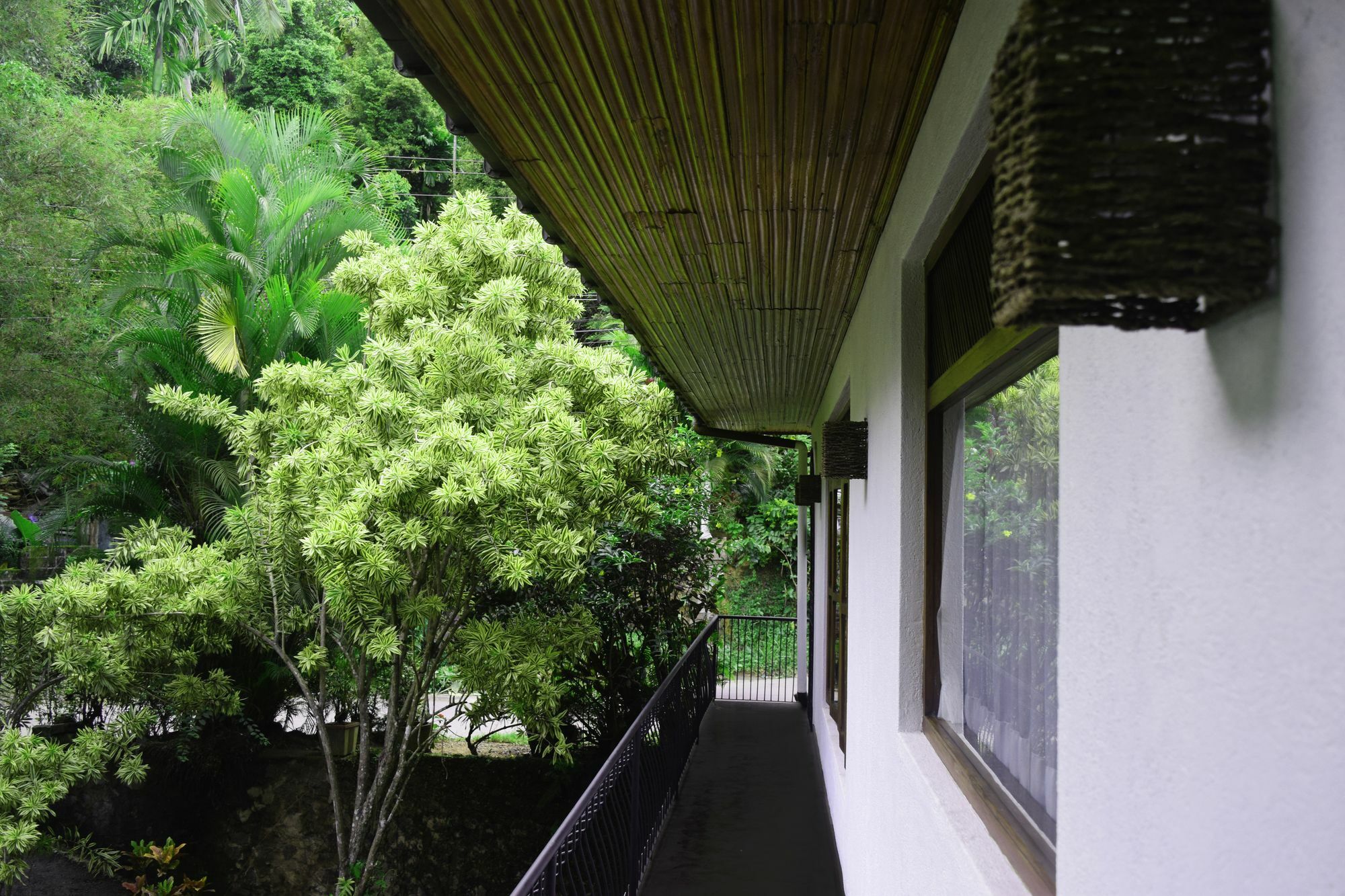 Hotel Avaana By Springhills Kandy Esterno foto